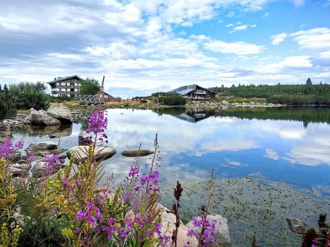 Alpine Apartment