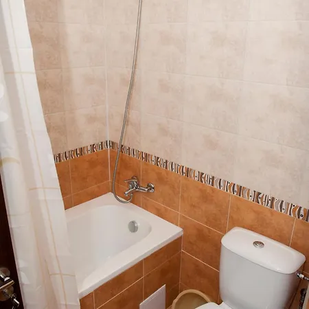 Alpine Lodge Bansko Apartments מראה חיצוני תמונה