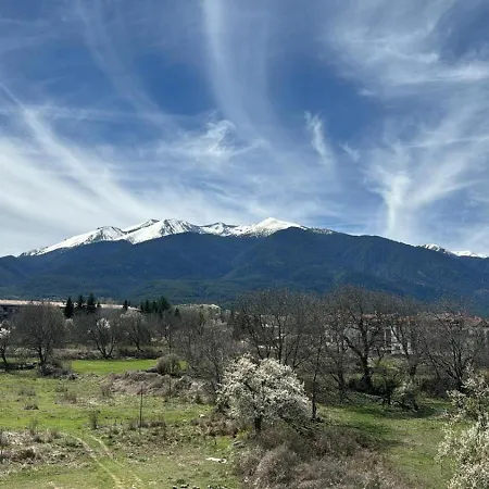 Alpine Lodge Bansko Apartments מראה חיצוני תמונה