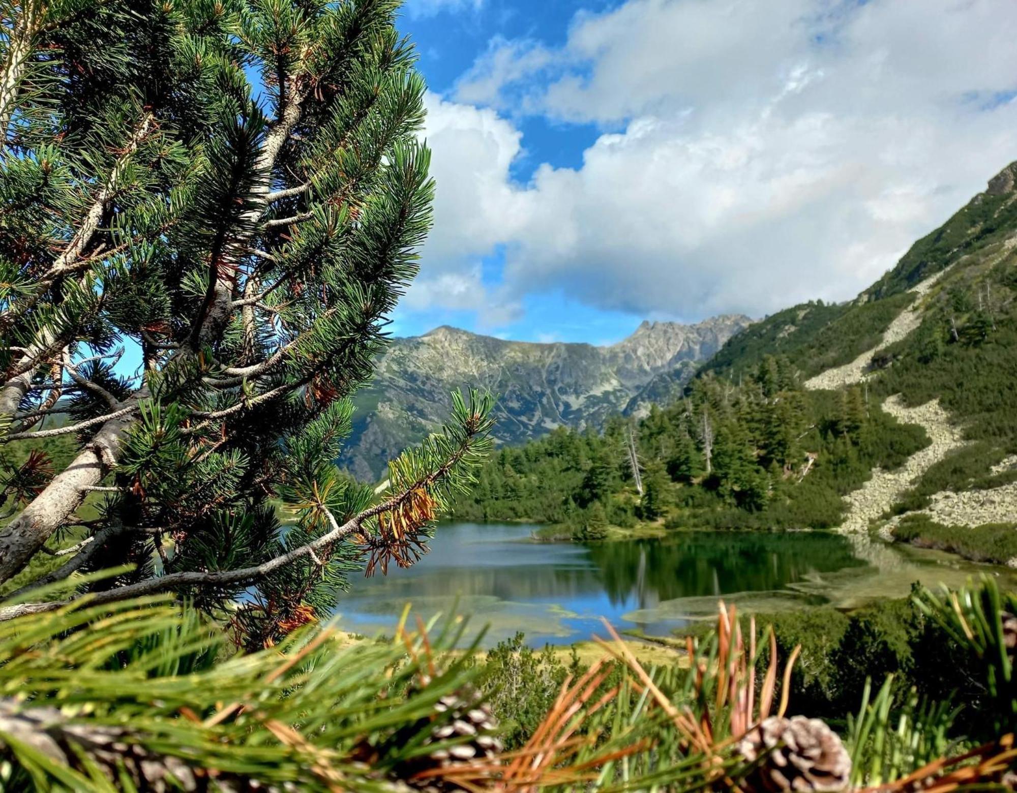 Апартаменти Alpine *