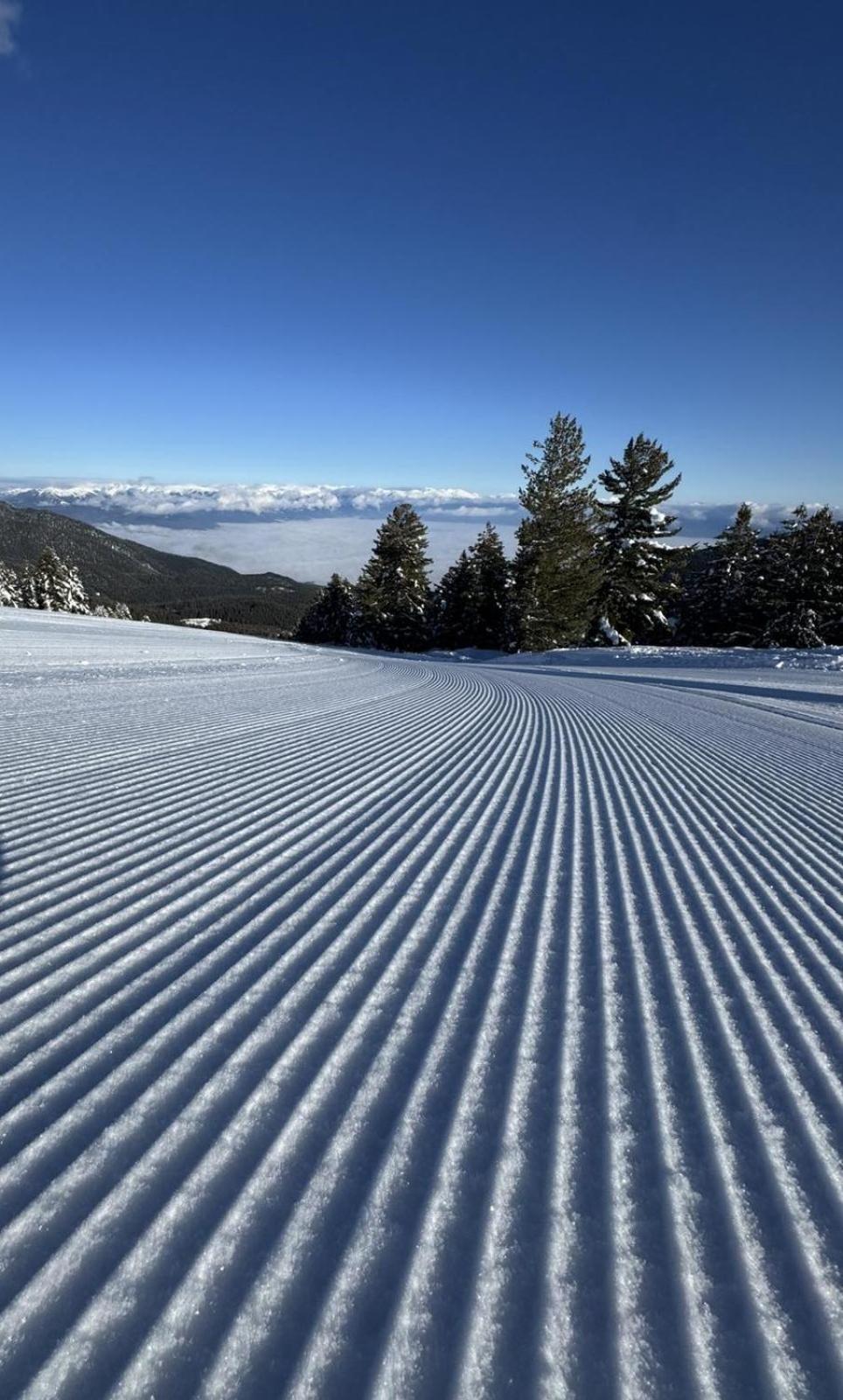 Апартаменти Alpine *