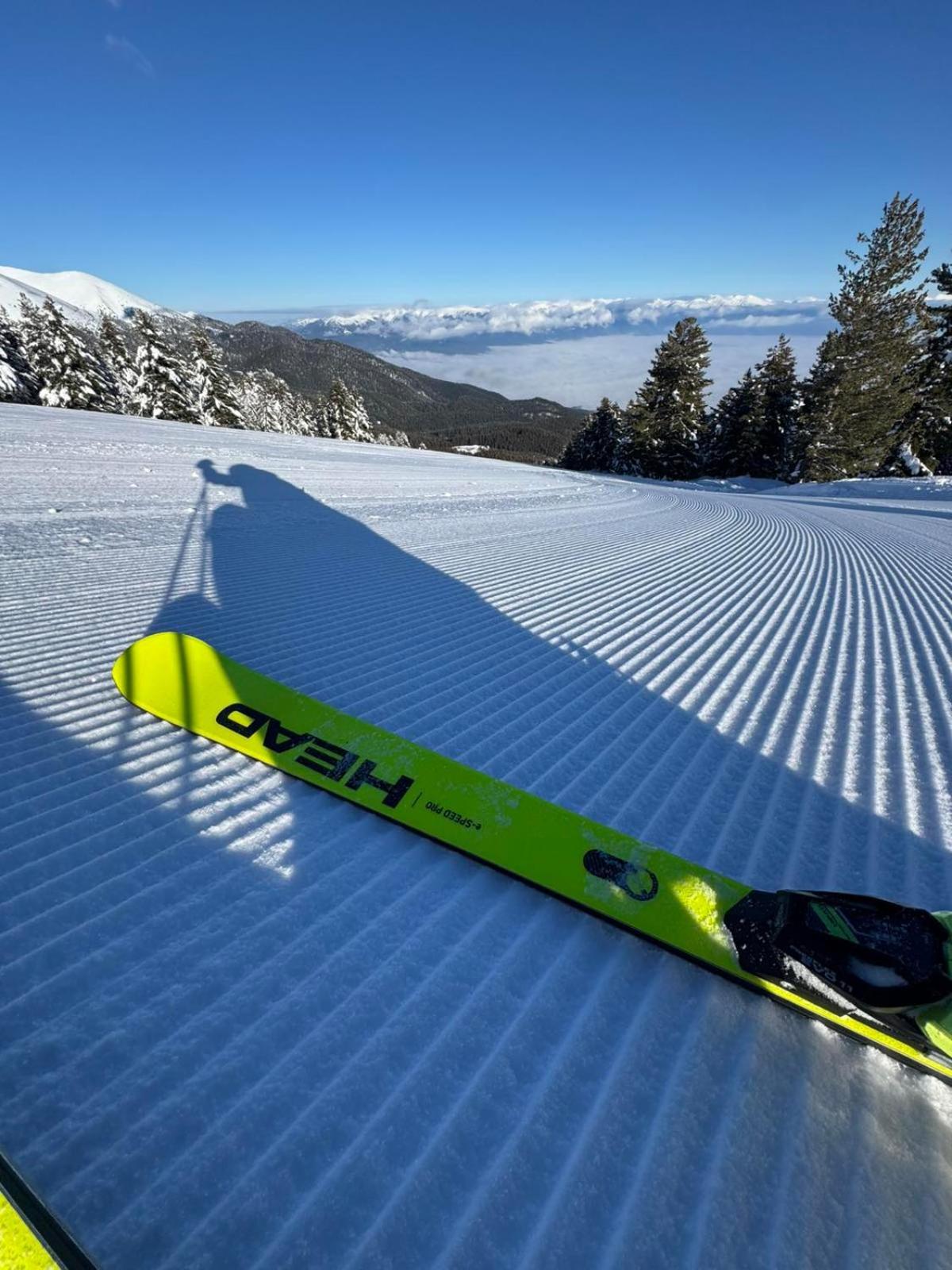 Апартаменти Alpine *